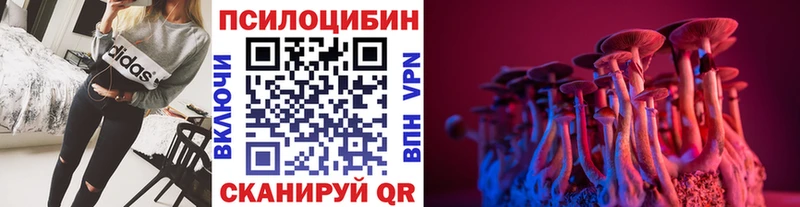 blacksprut ссылка  Владикавказ  Псилоцибиновые грибы Psilocybine cubensis 